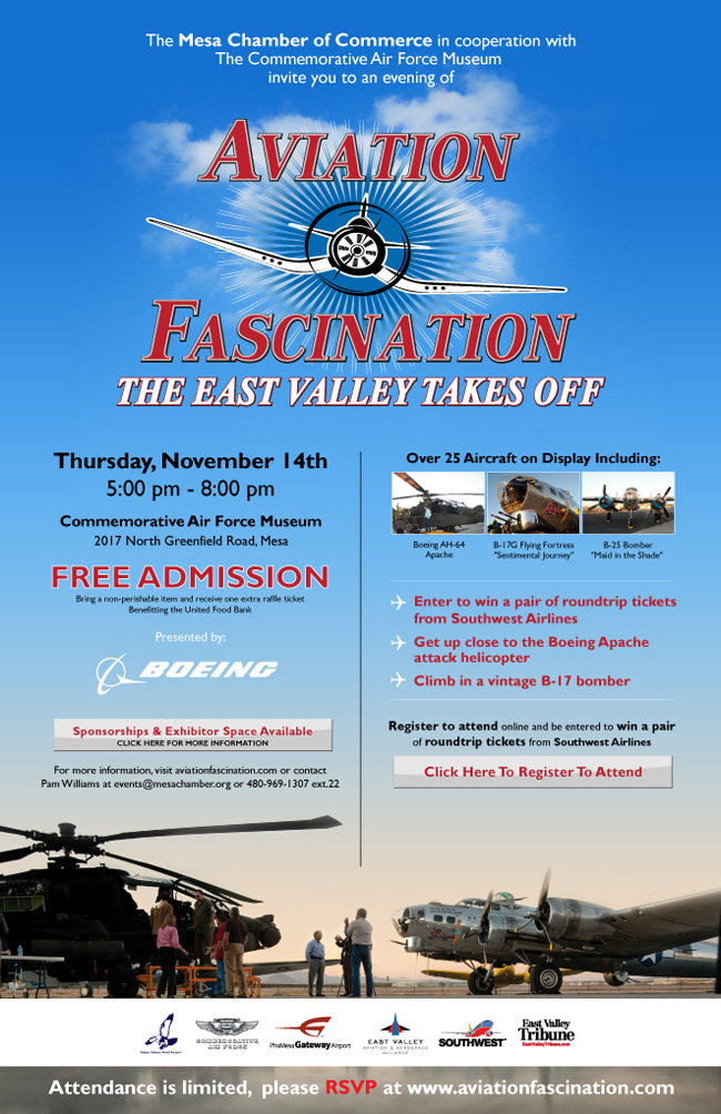 2013-11-14 aviation fascination