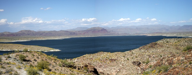 alamo-lake