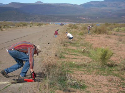 Grapevine Work