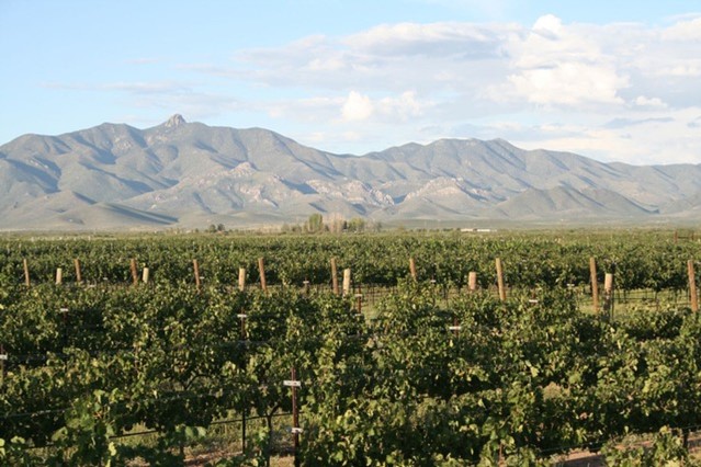 weekend getaways 2023 willcox
