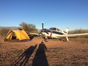 arizona airport focus grapevine 88az 4