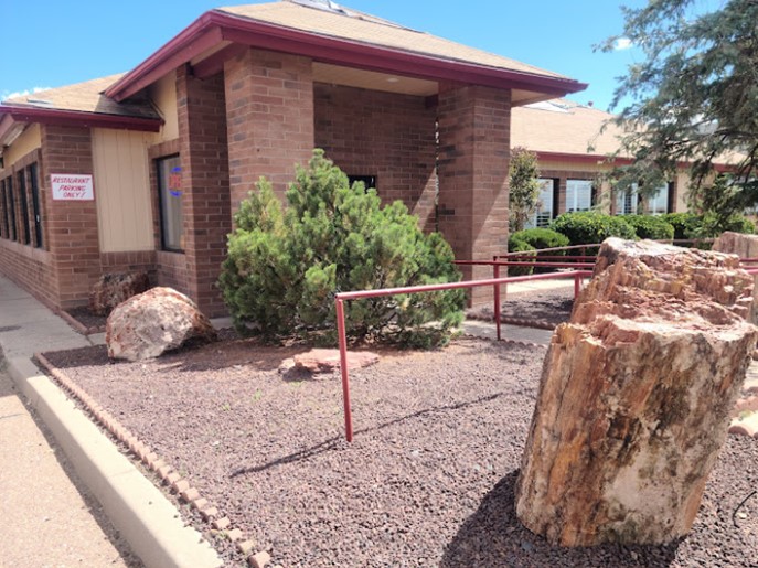 upcoming day trip holbrook 2024 petrified forest national park